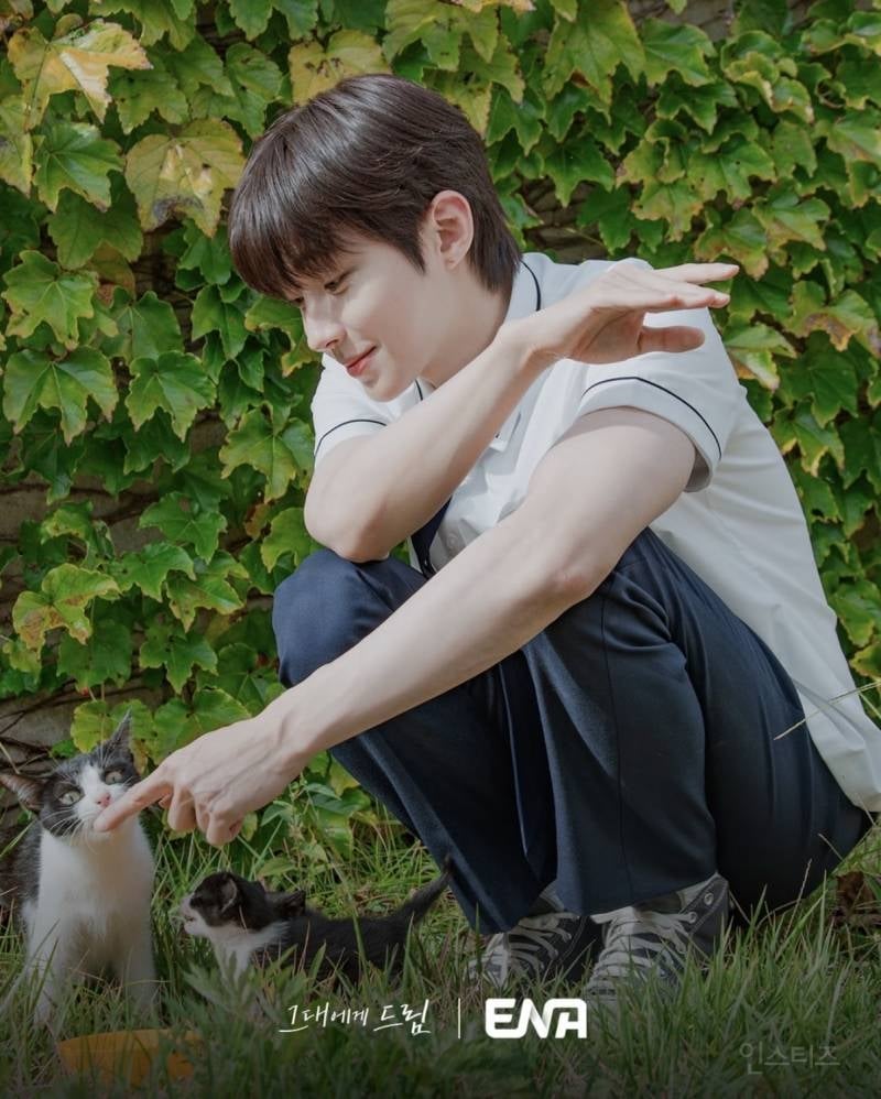 청춘로코 + 으른멜로 다 말아준다는 드라마 | 인스티즈