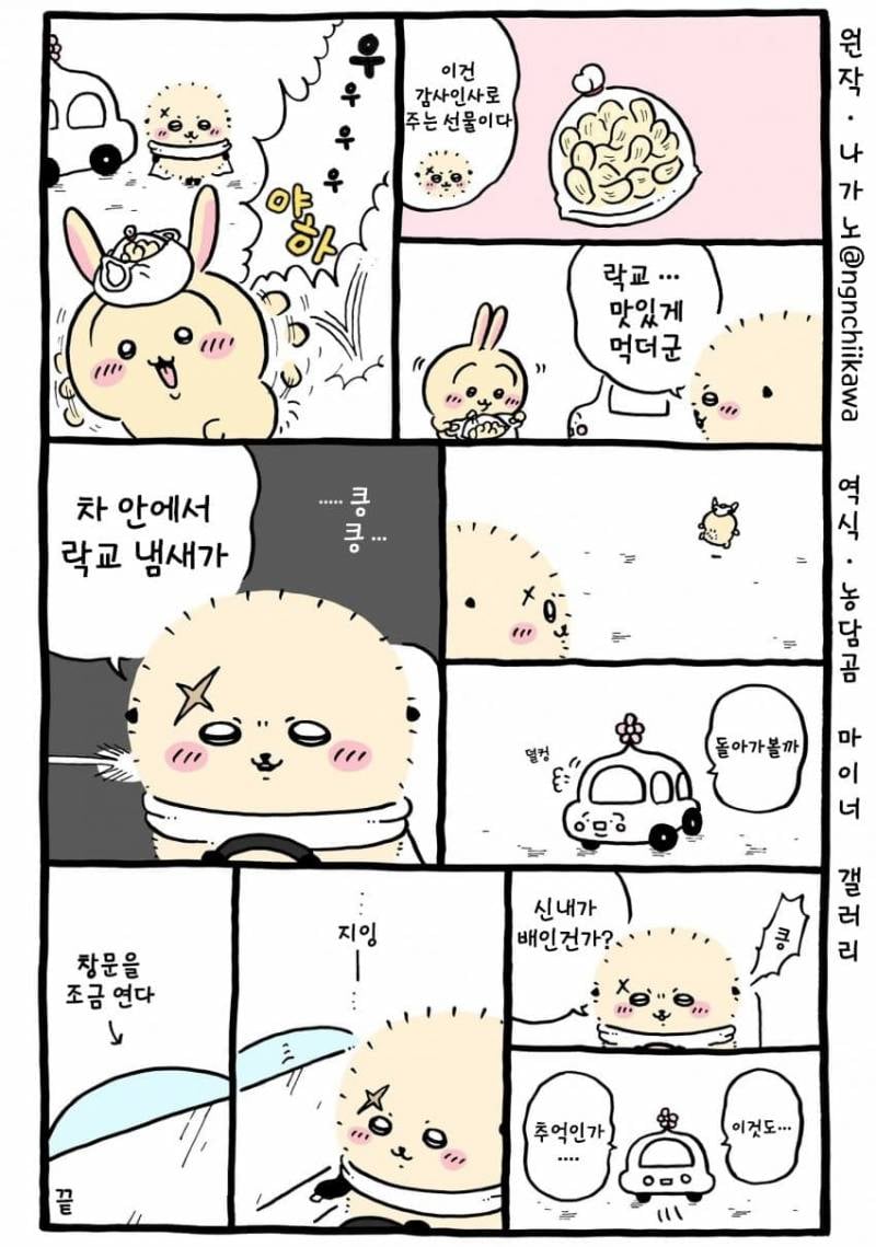 [잡담] 랏코에게 락교 선물 받은 우사기 | 인스티즈