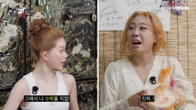 차쥐뿔 >>최초<< 수박 들고 찾아온 게스트 등장.......jpg | 인스티즈