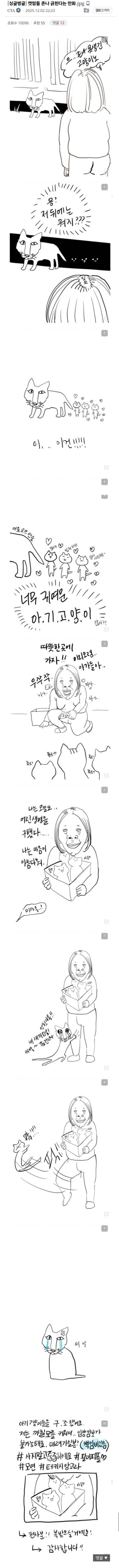 [잡담] 캣맘들의 현실 | 인스티즈
