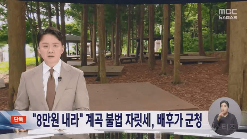 💥 8만원 계곡 불법 자릿세, 배후가 군청 | 인스티즈