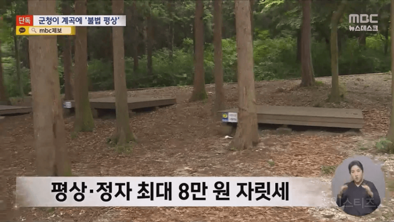 💥 8만원 계곡 불법 자릿세, 배후가 군청 | 인스티즈