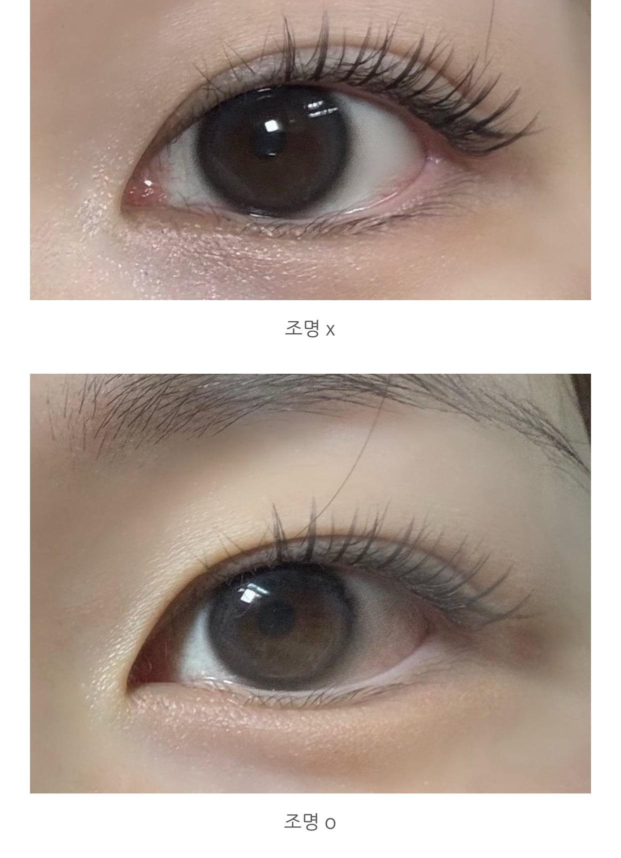 [잡담] 가을웜은 이런 그레이 렌즈 안어울리게ㅛ지? | 인스티즈