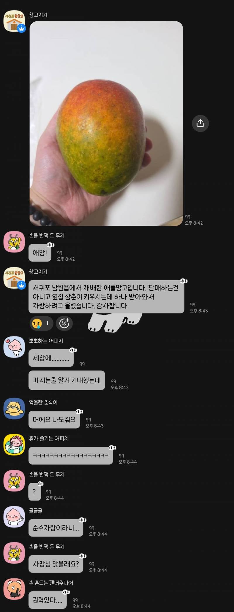 [잡담] 여기 오픈채팅 사람들 개귀여워 | 인스티즈