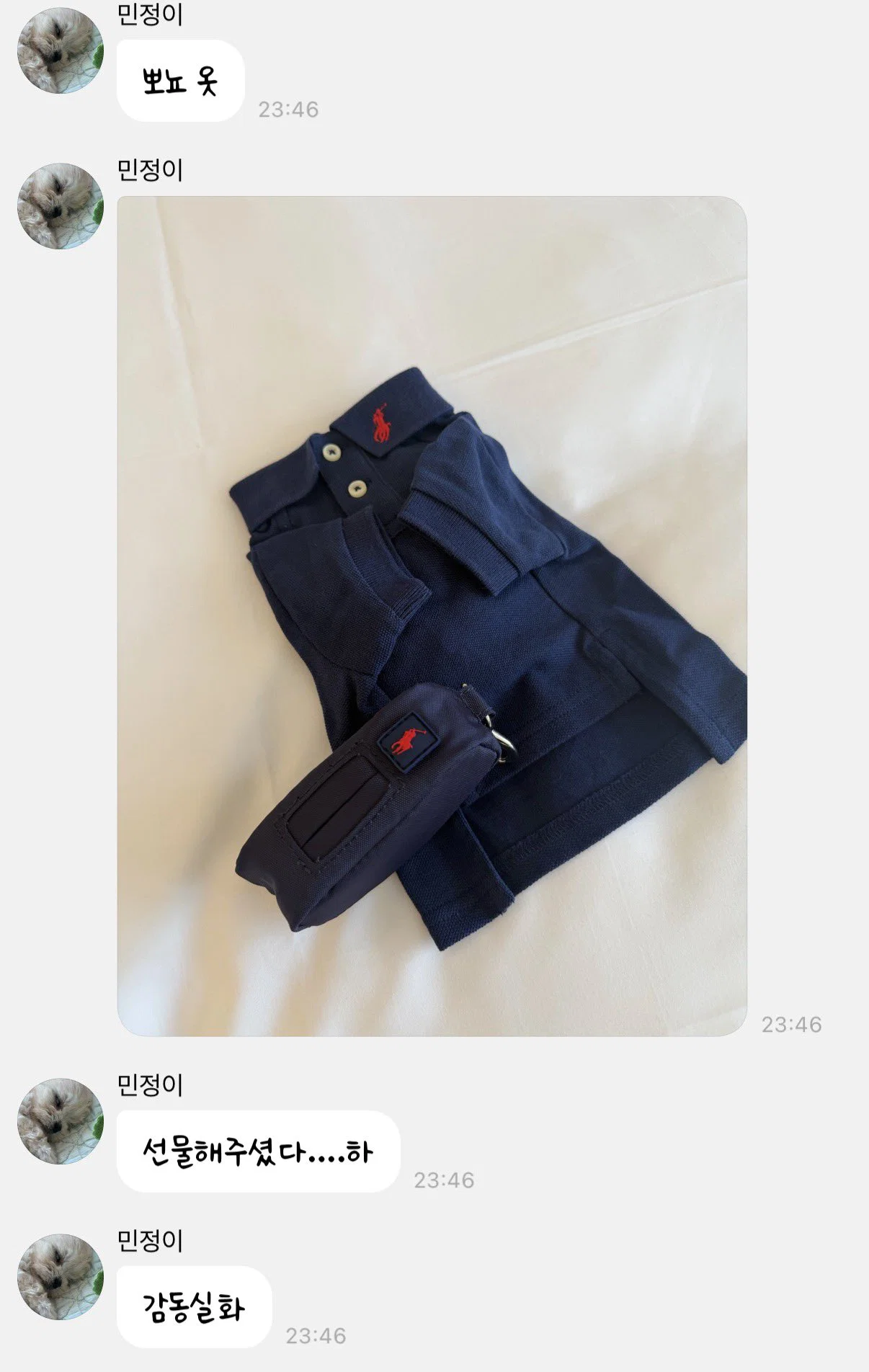 [잡담] 폴로에서 윈터 강아지 옷도 줬네ㅋㅋㅋㅋㅋㅋ ㄱㅇㅇ | 인스티즈