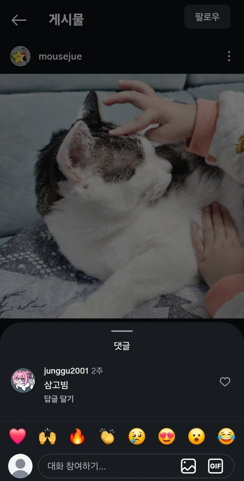 [잡담] 와 돌아가신 네웹 작가 인스타 댓글 뭐야 | 인스티즈