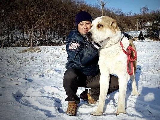 [잡담] 말만 성빈선수보다 큰 개 키우고 계신다고 하는 줄 알았는데 | 인스티즈