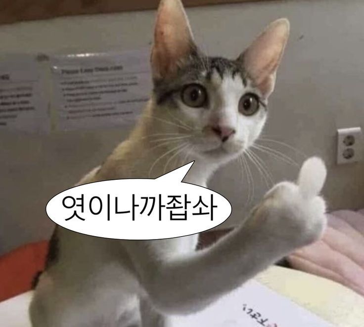 [잡담] 할 말을 잃어버렸슴 | 인스티즈
