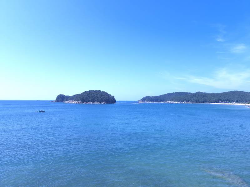 [잡담] 오션뷰와🌊갈매기🐦40 | 인스티즈