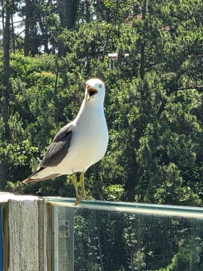 [잡담] 오션뷰와🌊갈매기🐦40 | 인스티즈