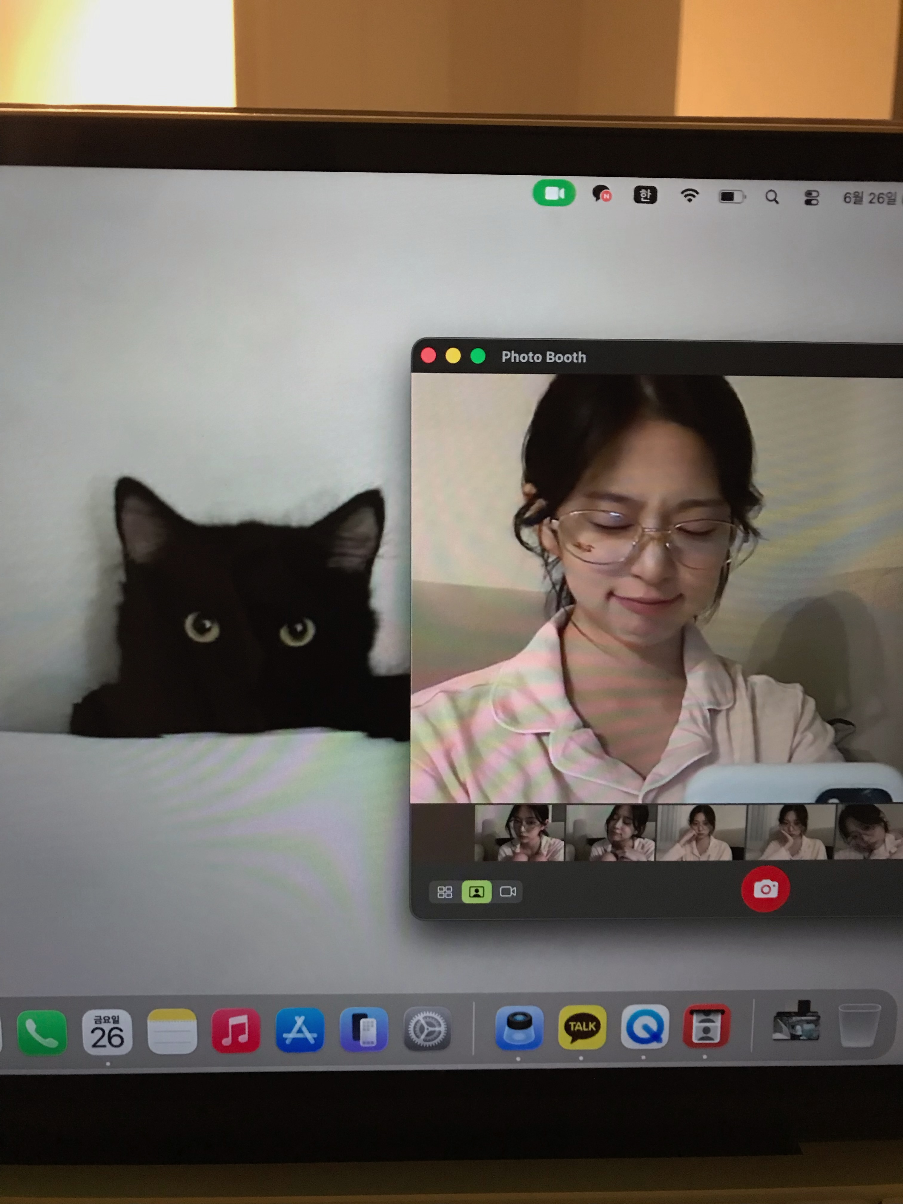 [잡담] 아 민주 냥 좋다 | 인스티즈