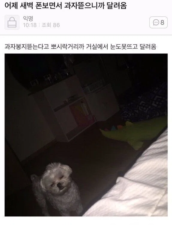 너네가 100살이면 91살이 말 놓는 거 기분 나쁘다 vs 아니다 | 인스티즈