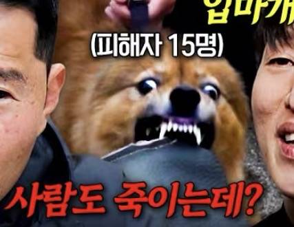 [잡담] 유튜브에서 자만추한 섬네일 강아지 너무 폭룡적임 | 인스티즈