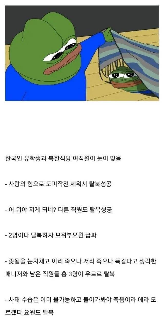 [잡담] 외국 북한식당 탈북 레전드 사건 | 인스티즈