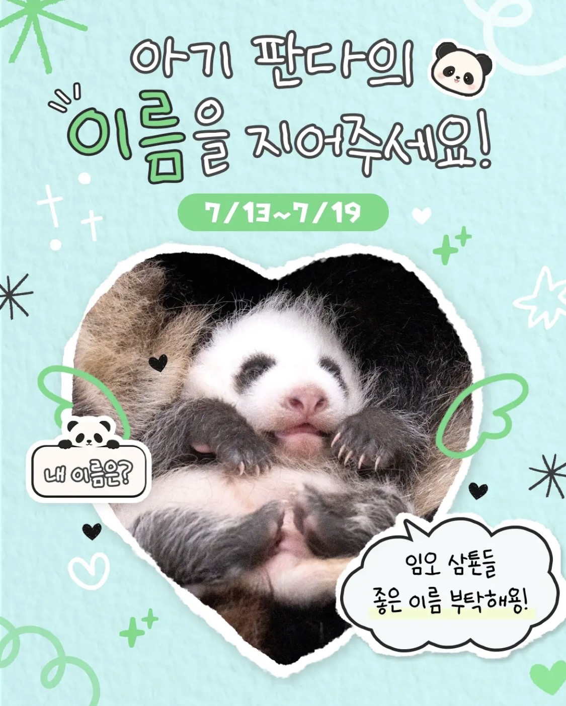 [잡담] 우왕 넷째판다 이름 공모한다 | 인스티즈