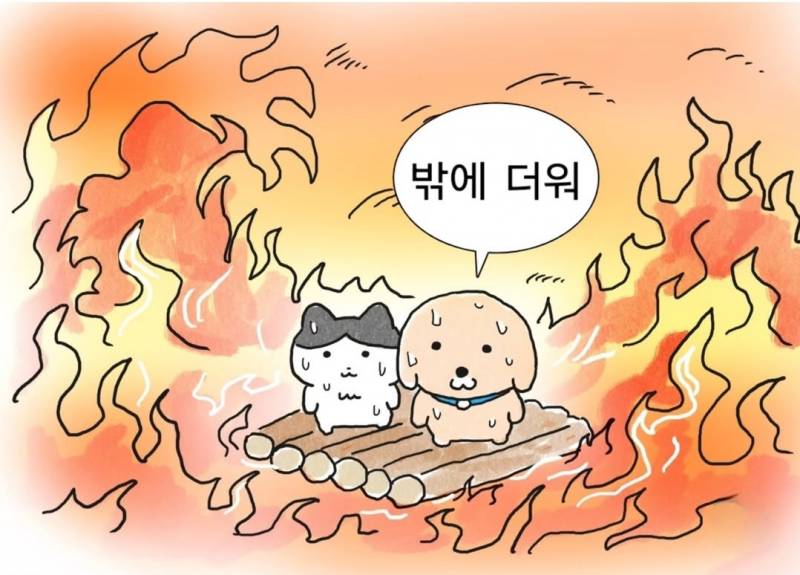 [잡담] 이 날씨에 양우산쓰고 야간 출근하는데 벌써부터 땀샤워함 | 인스티즈