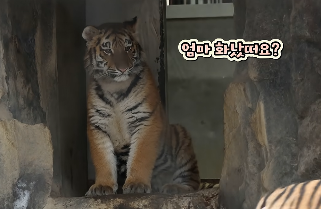 [잡담] 얘 왤케 바부같이 생겻냐 | 인스티즈