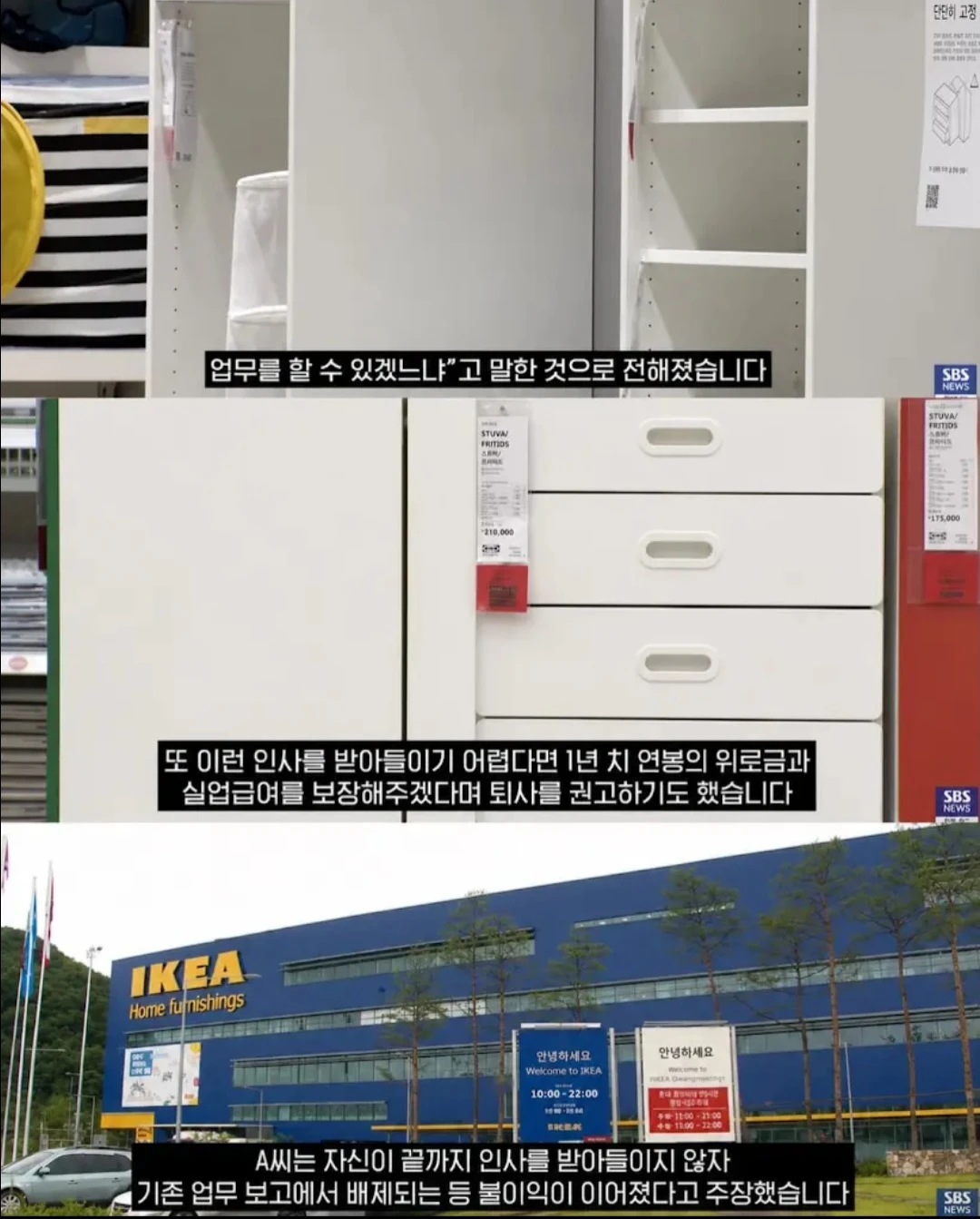 💥이케아 대표 "한국인은 몽총한데 자르기가 힘들어" | 인스티즈