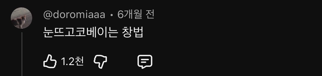 개쳐웃긴 티아라 소연 묵음처리 과부창법 댓글 모음zip | 인스티즈