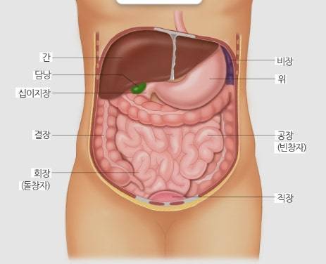 [잡담] 이런 장기상태볼라면 복부 초음파야?? | 인스티즈