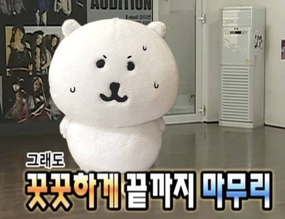 [잡담] 벌레사진있어 혐주의!!!!! 이거 무슨 벌레야?? ㅠㅠ | 인스티즈