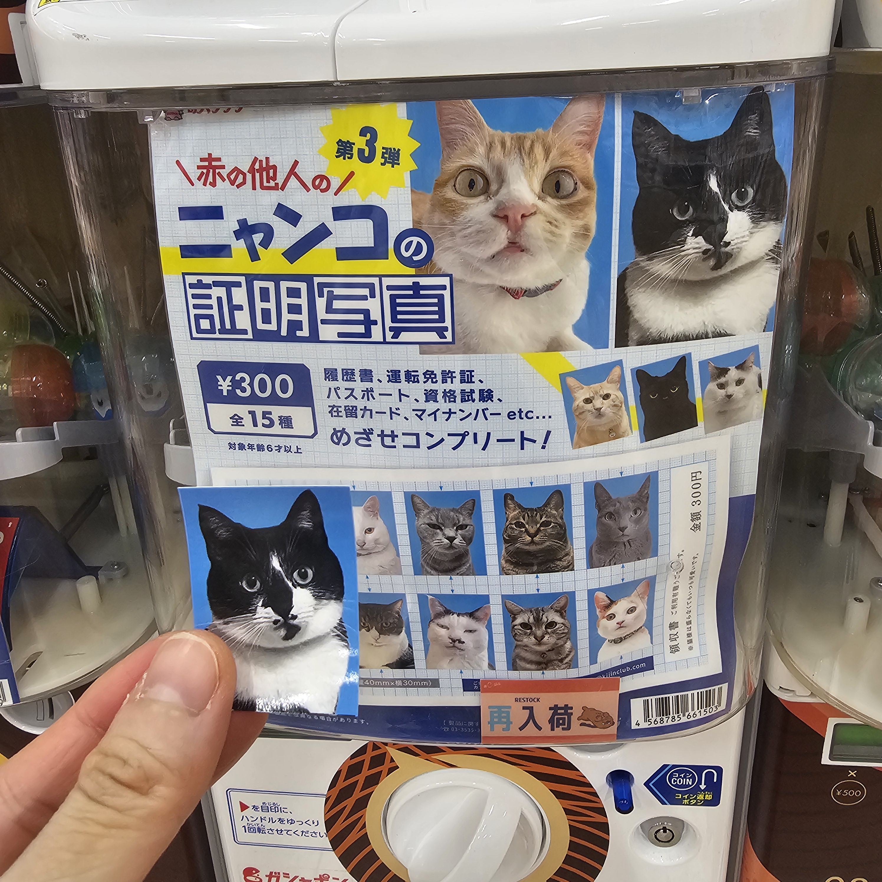 [잡담] 일본와서 가챠 뽑앗는데 개귀여움ㅋㅋㅋㅋㅋㅋㅋ | 인스티즈