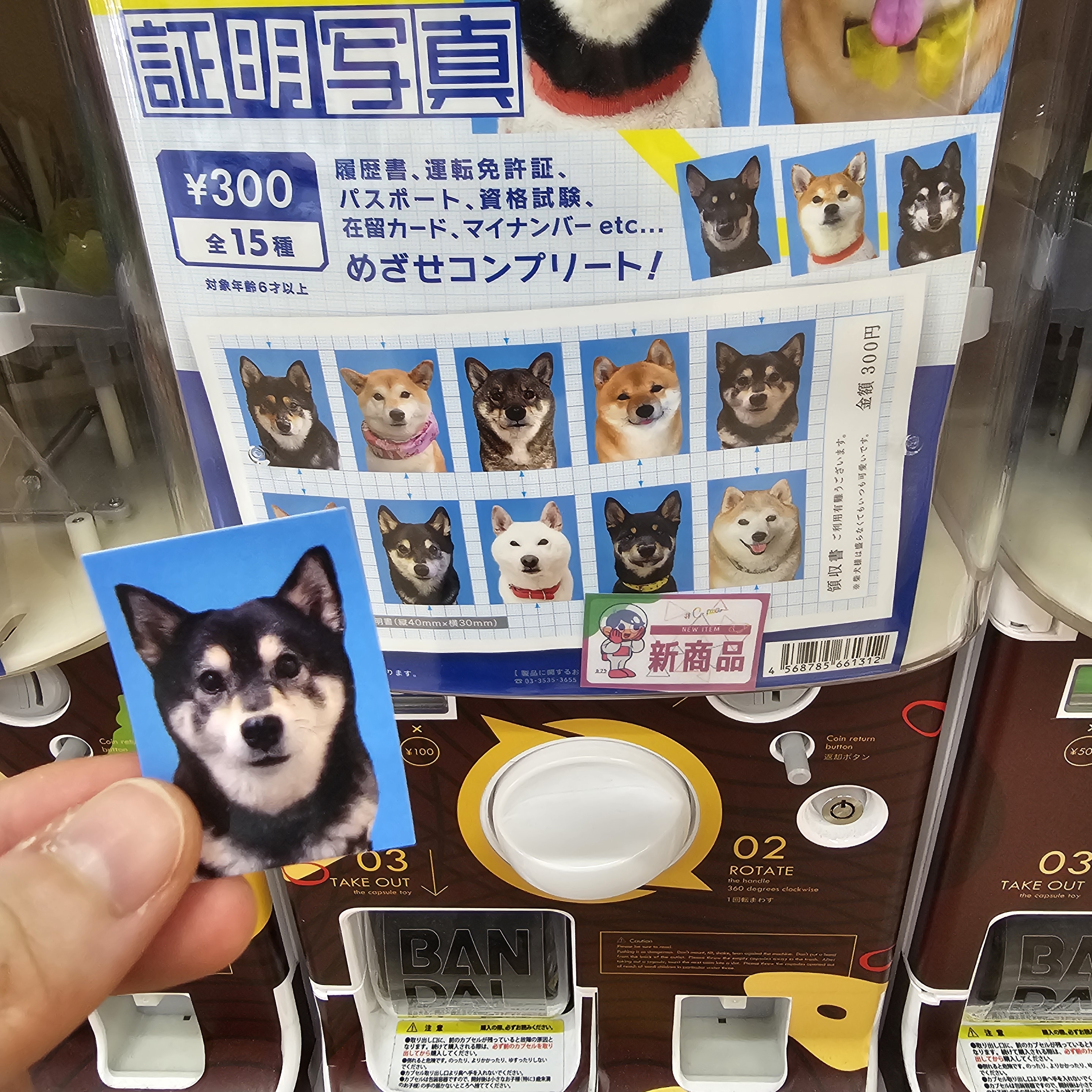 [잡담] 일본와서 가챠 뽑앗는데 개귀여움ㅋㅋㅋㅋㅋㅋㅋ | 인스티즈