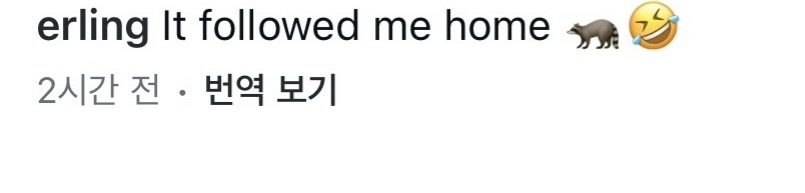 [잡담] 홀란드 인스타 이거뭐임 | 인스티즈
