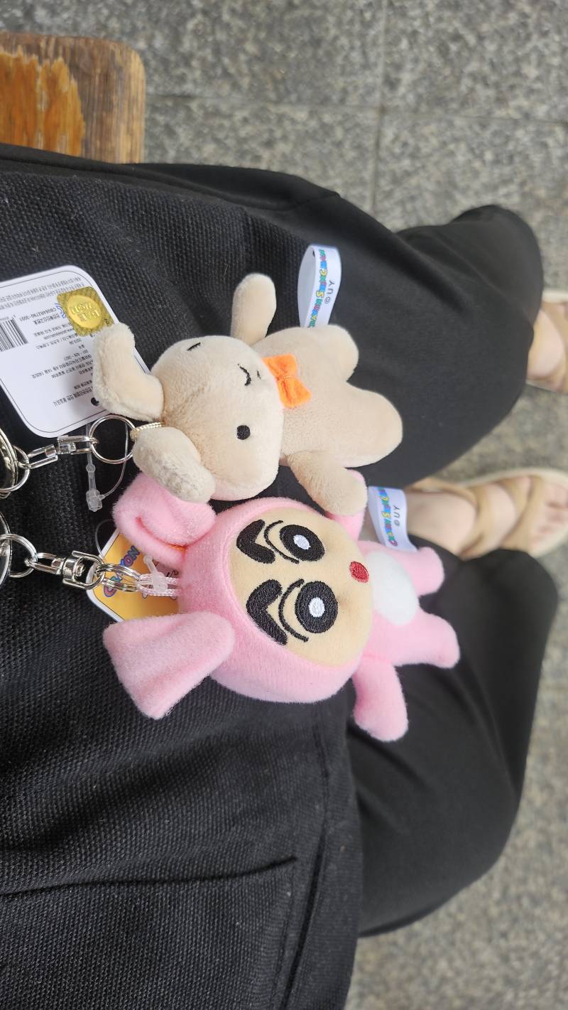 [잡담] 오늘은 얘네 데리고 출근 | 인스티즈