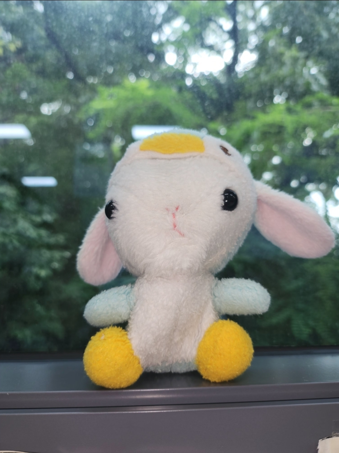 [잡담] 내 아이돌 보고 가 | 인스티즈