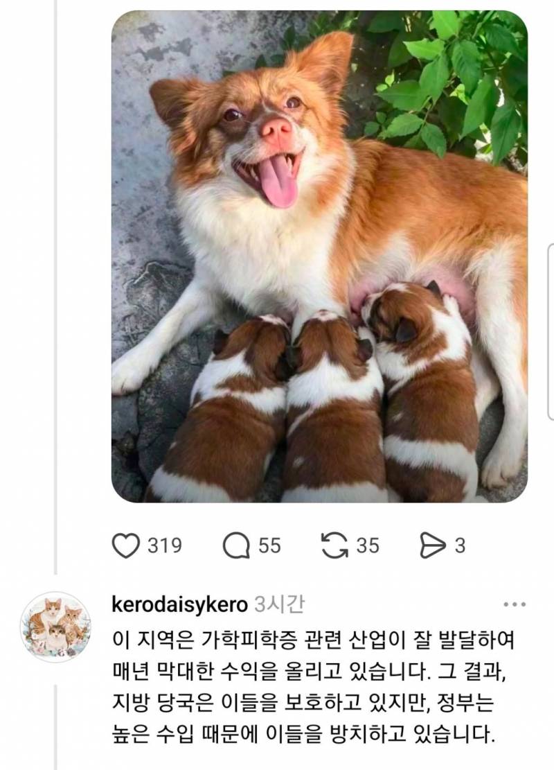 [잡담] 중국 개혐오스러움 | 인스티즈