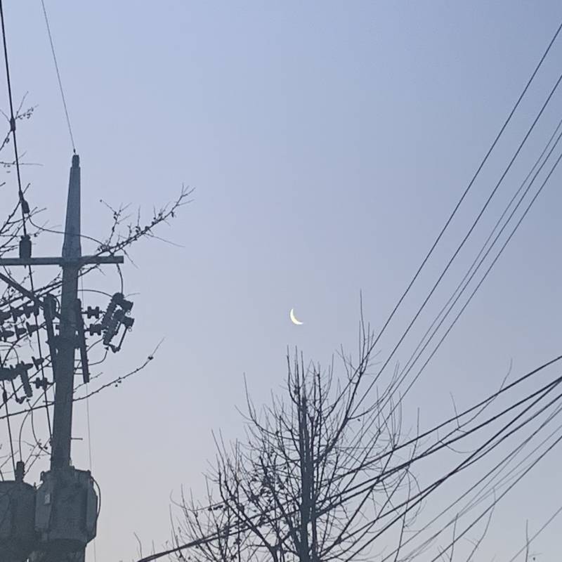 [잡담] 확실히 사진은 옛날 아이폰이 최고인 거 같애 | 인스티즈
