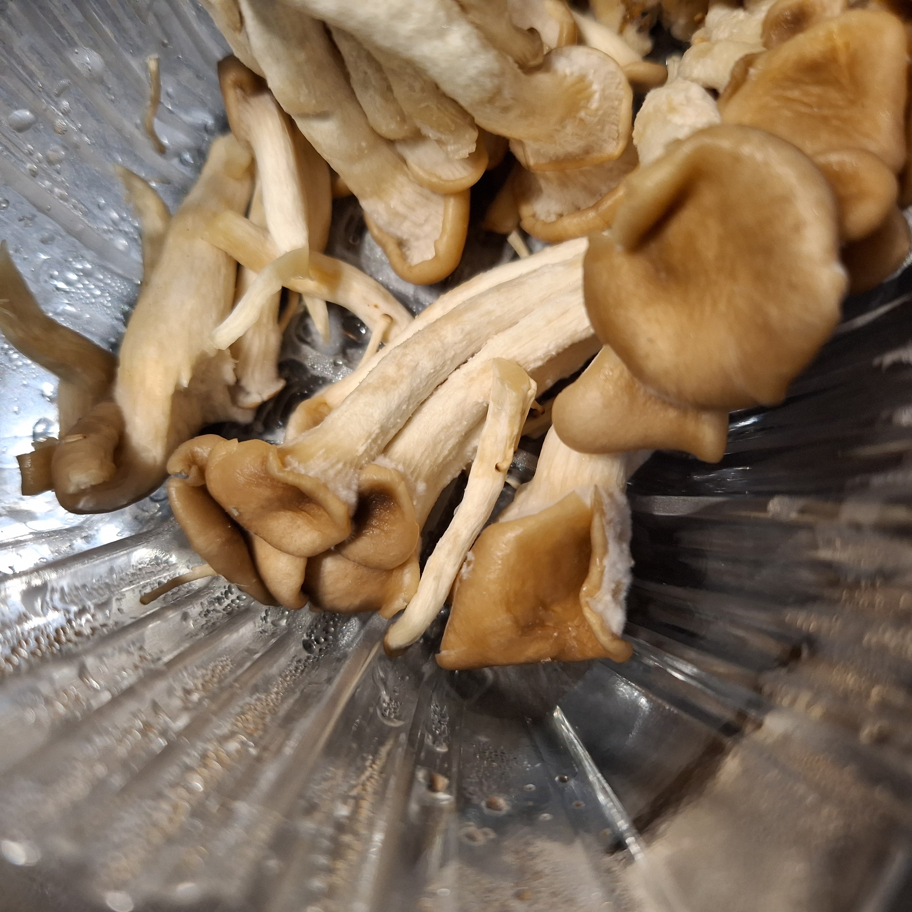 [잡담] 이거 곰팡이야? | 인스티즈
