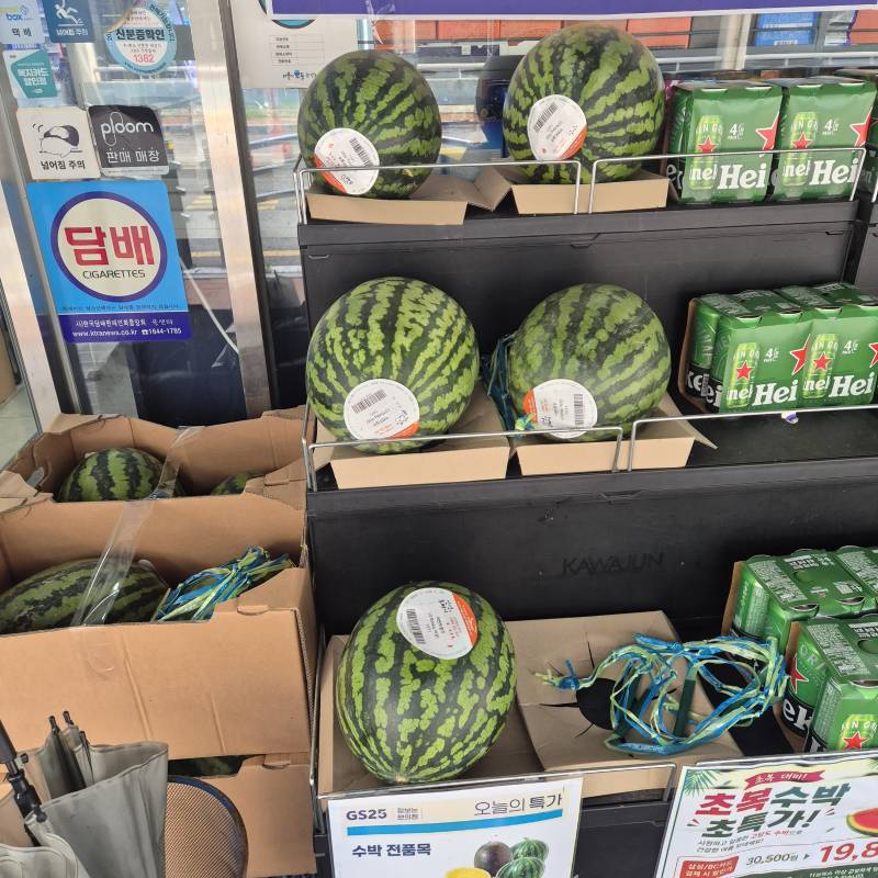 [잡담] 여기가 편의점이냐 마트냐!!! | 인스티즈