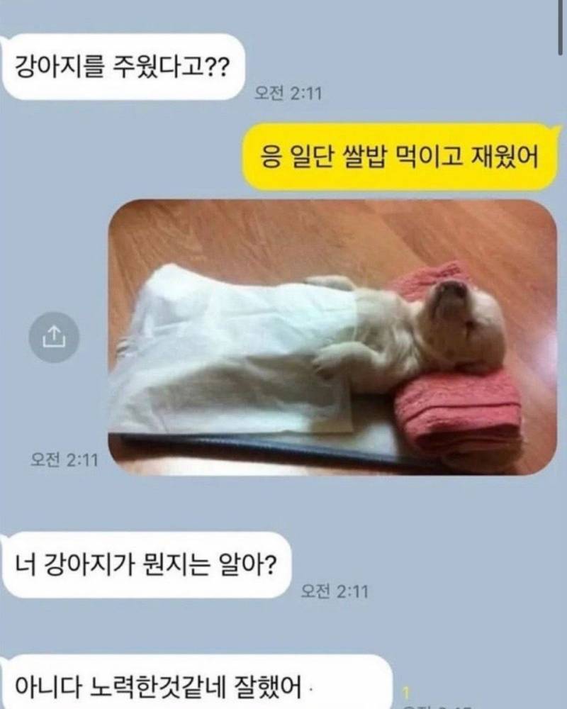 [잡담] 강훈이 브이로그 후기 | 인스티즈