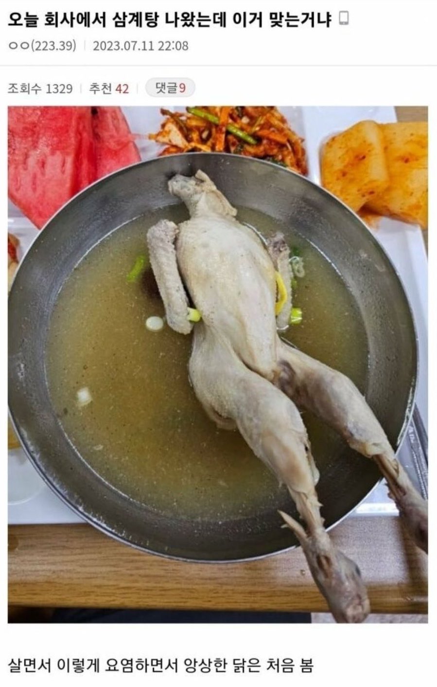 [잡담] 오늘 회사에서 삼계탕 나왔는데 이거 맞는거냐 | 인스티즈