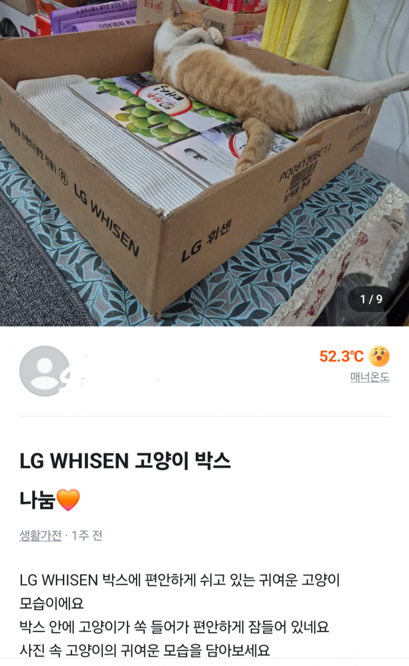[잡담] 당근에서 박스 쪼가리 나눔하길래 뭐야?;; 했는데 | 인스티즈