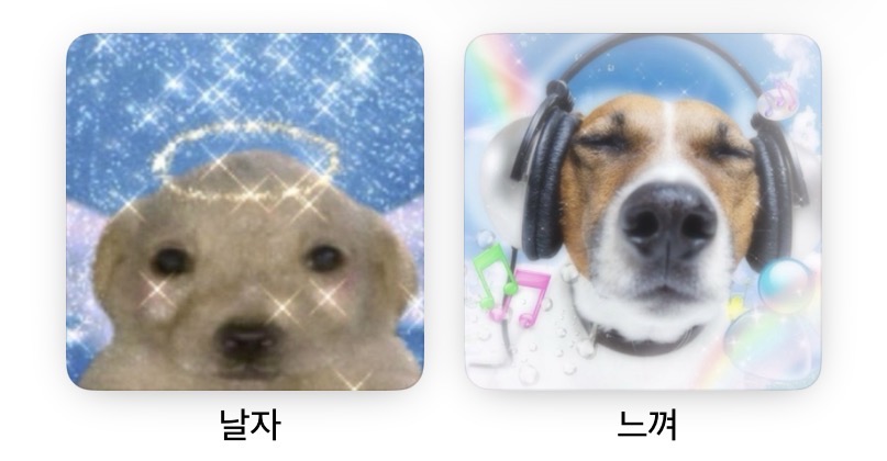 [잡담] 내 남여돌 플리 볼 사람 | 인스티즈