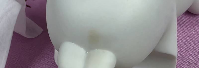 [잡담] 얘들아 이거 뭔것 같음? | 인스티즈