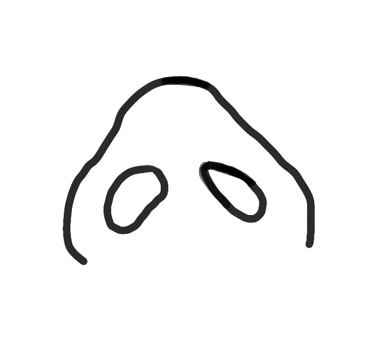 [잡담] 나 왜 콧구멍이 짝짝이지? | 인스티즈