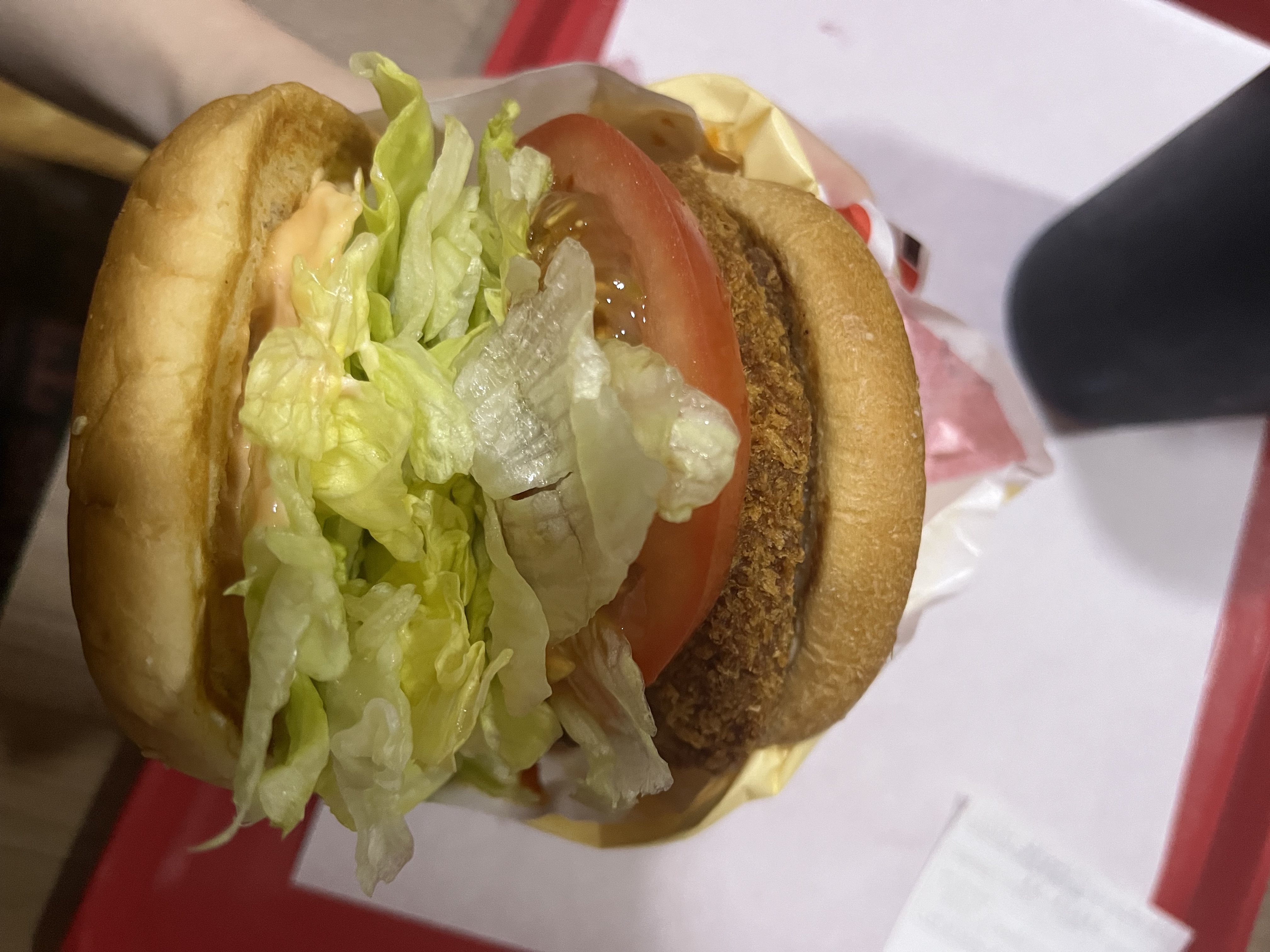 [잡담] 갓 나온 따끈따끈한 롯리 신메뉴🍔 | 인스티즈