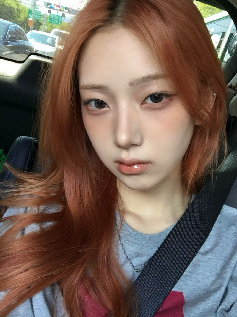 5세대 여돌 중에서 은근 보인다는 '이 동물' 닮은 꼴 | 인스티즈
