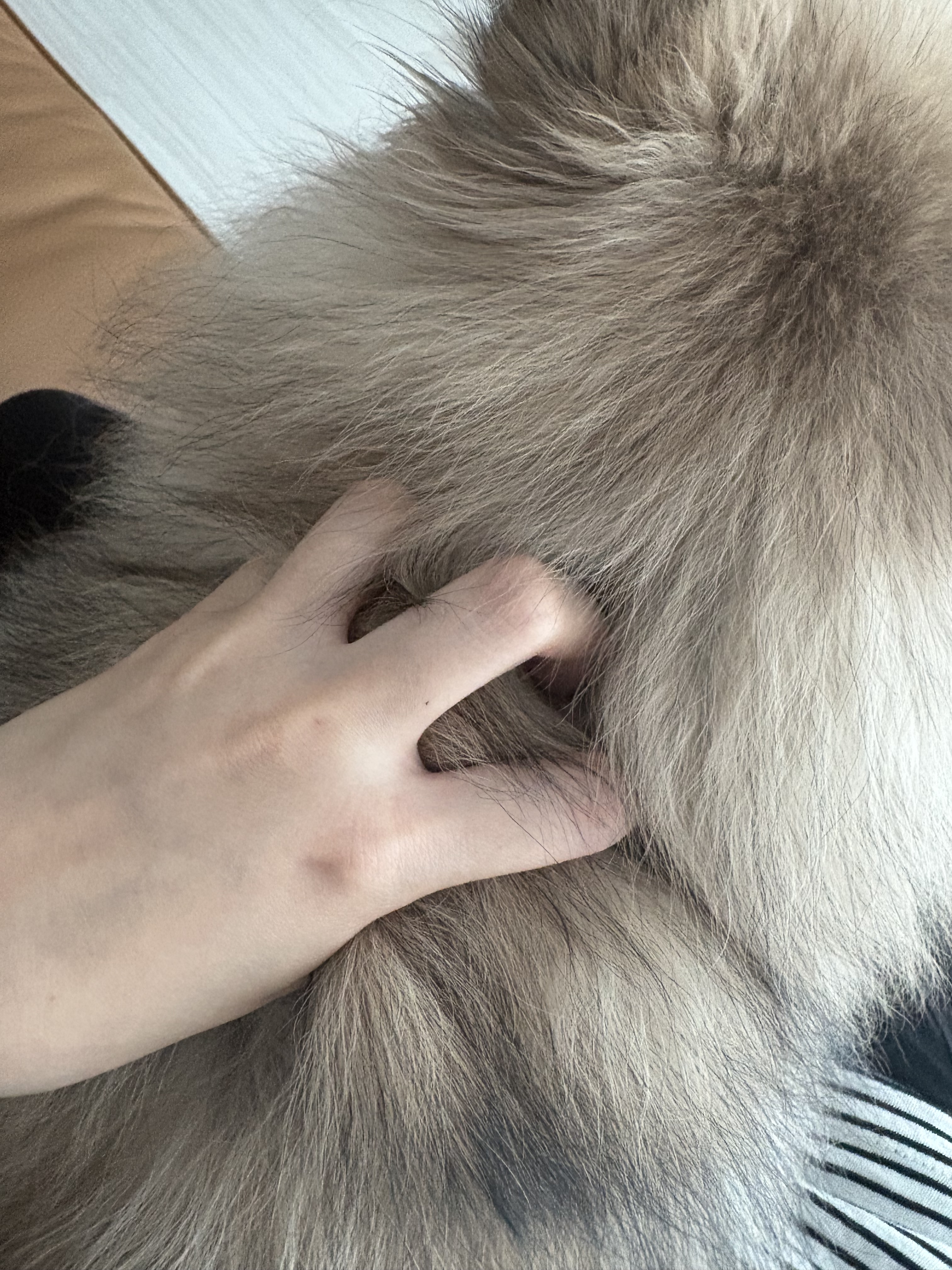 [잡담] 내 대왕말랑이 볼 사람 | 인스티즈