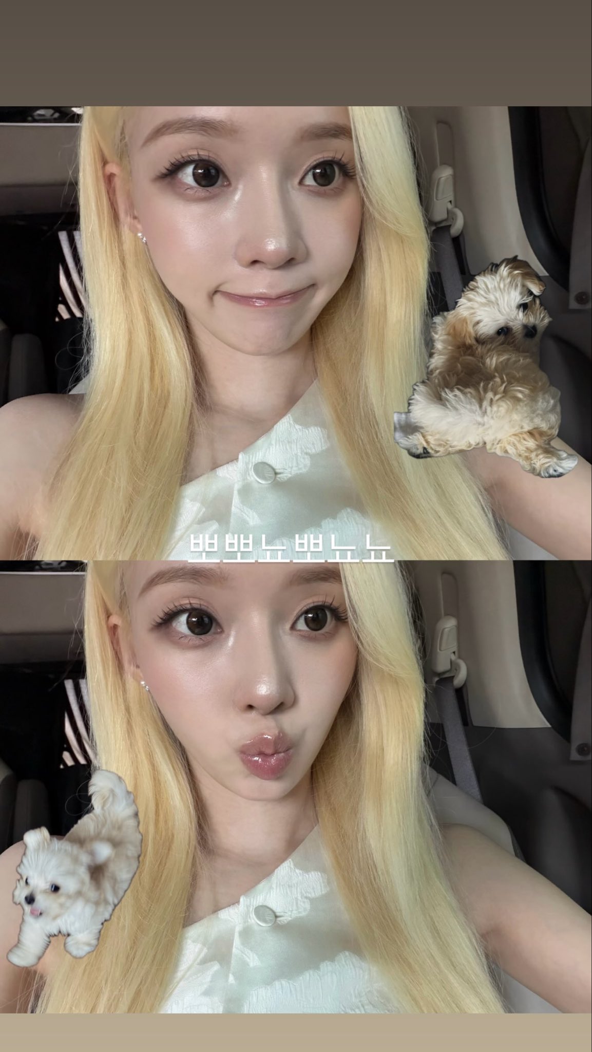 [잡담] 오늘자 윈터 인스스 업뎃 | 인스티즈