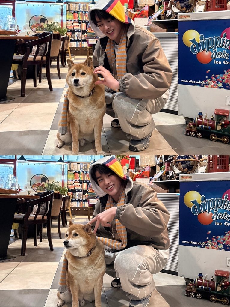 [잡담] 건호 강아지한테 아궁빵 볼하트 고양이귀 | 인스티즈