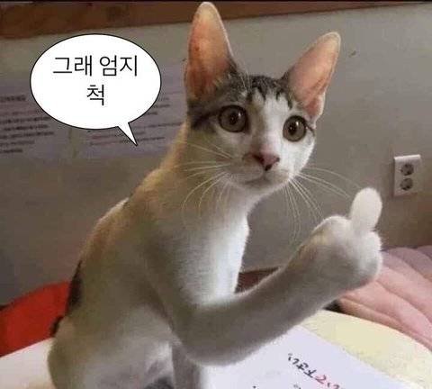 [잡담] #menow | 인스티즈