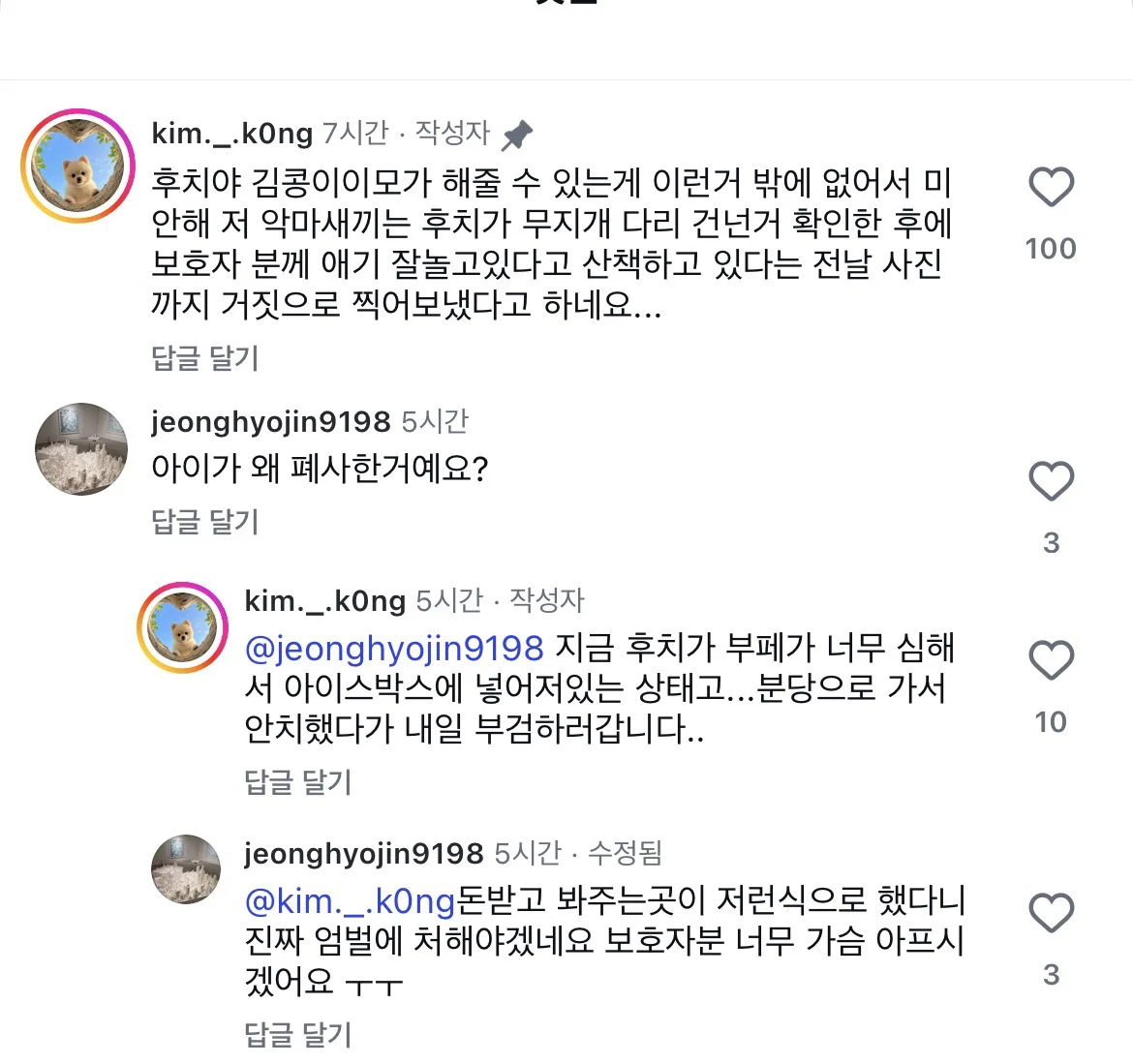 [잡담] 강아지가 죽었는데도 잘 있다고 거짓말한 춘천 애견 호텔 | 인스티즈