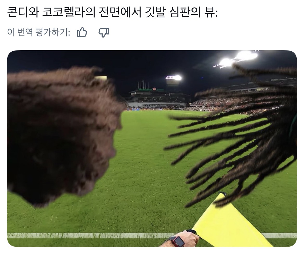 [잡담] 푸들머리와 레게머리가 축구하면 생기는일 | 인스티즈