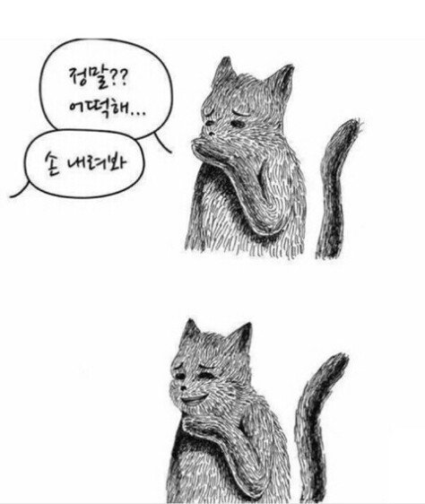 [잡담] 포핸즈) 저렇게 친한 사이였다가 빠갈난다는 거지? | 인스티즈