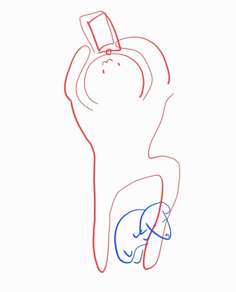 [잡담] 엎드려있는데 다리에서 강아지 자서 쥐나는중 | 인스티즈